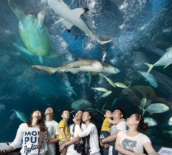 潜派旅行