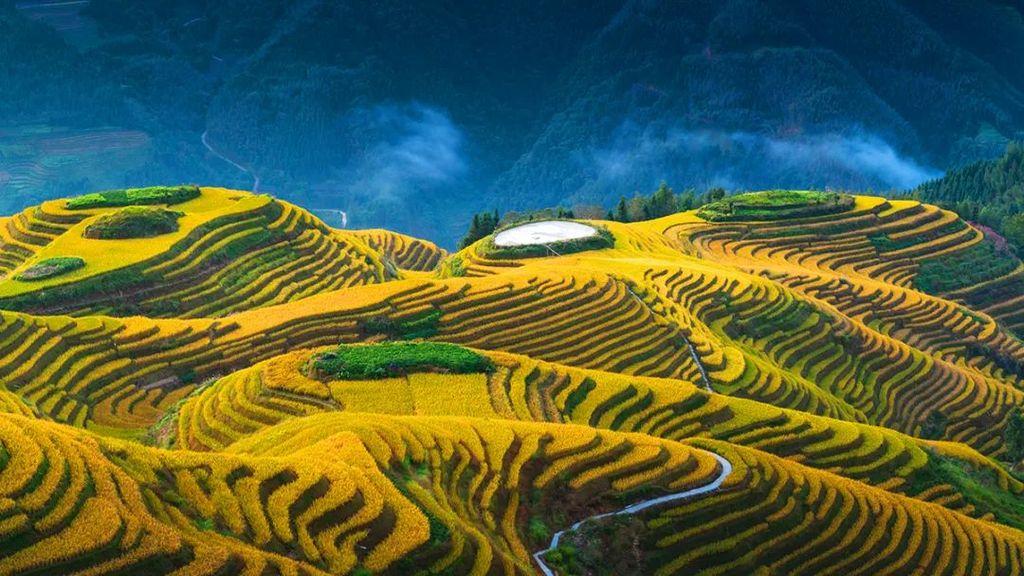 潜派旅行