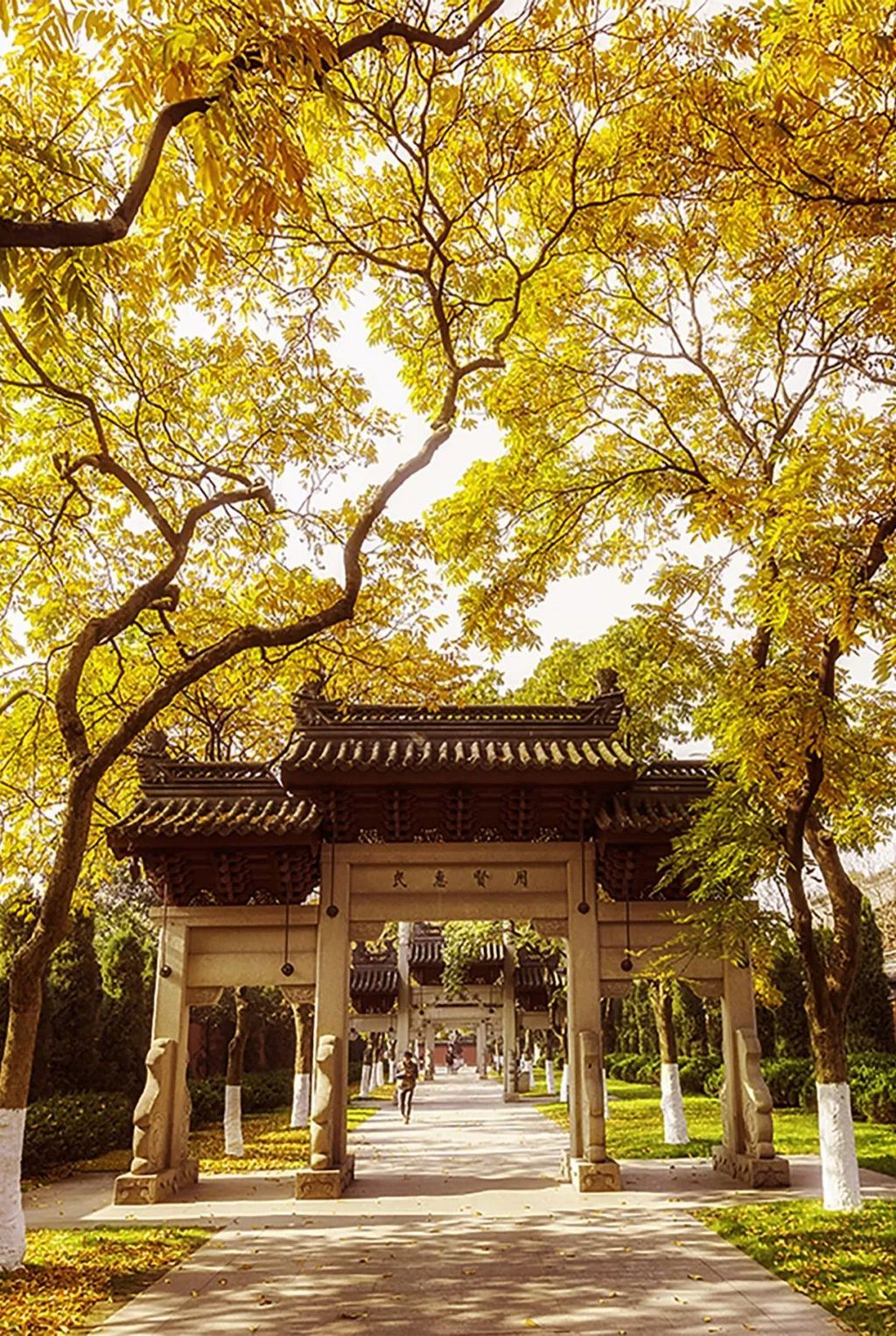 潜派旅行