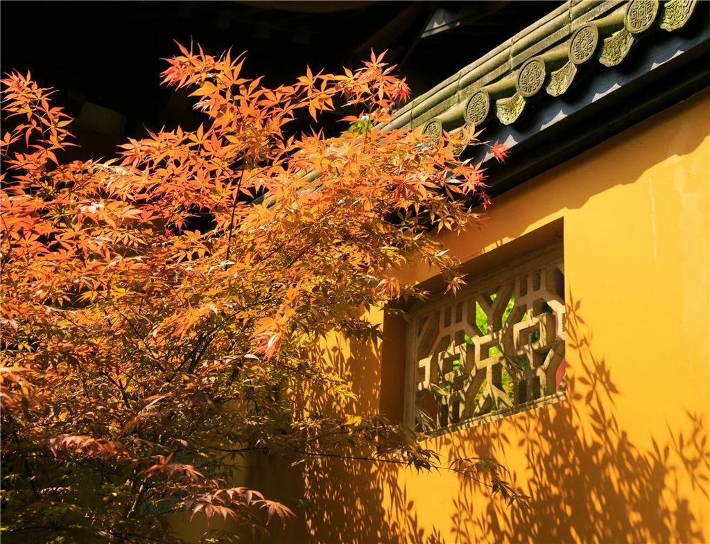 潜派旅行
