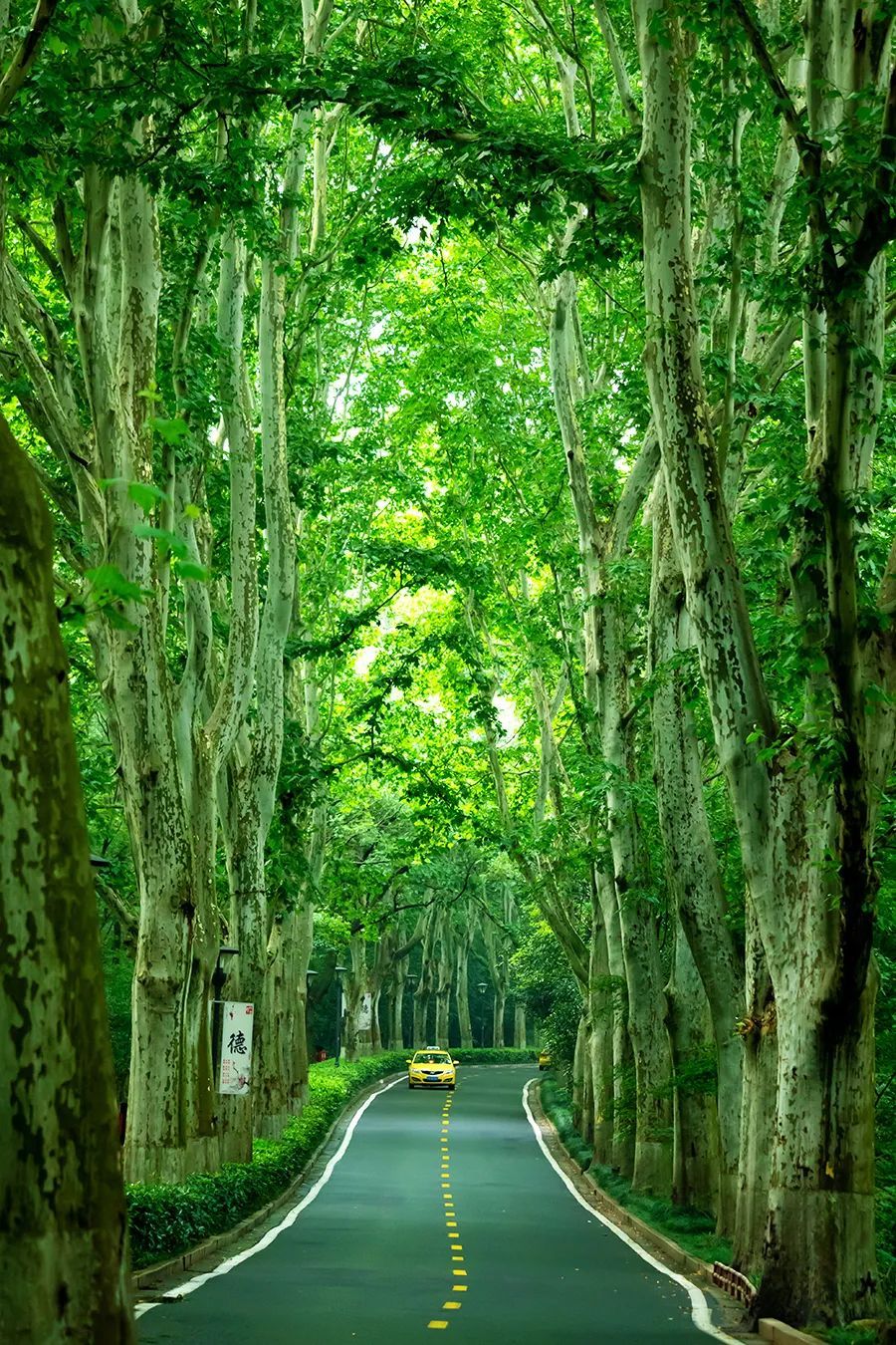 潜派旅行