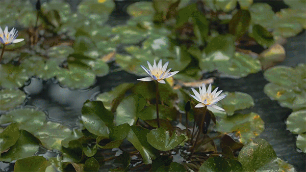 潜派旅行
