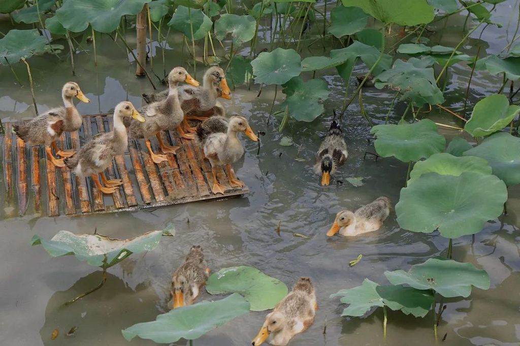 潜派旅行