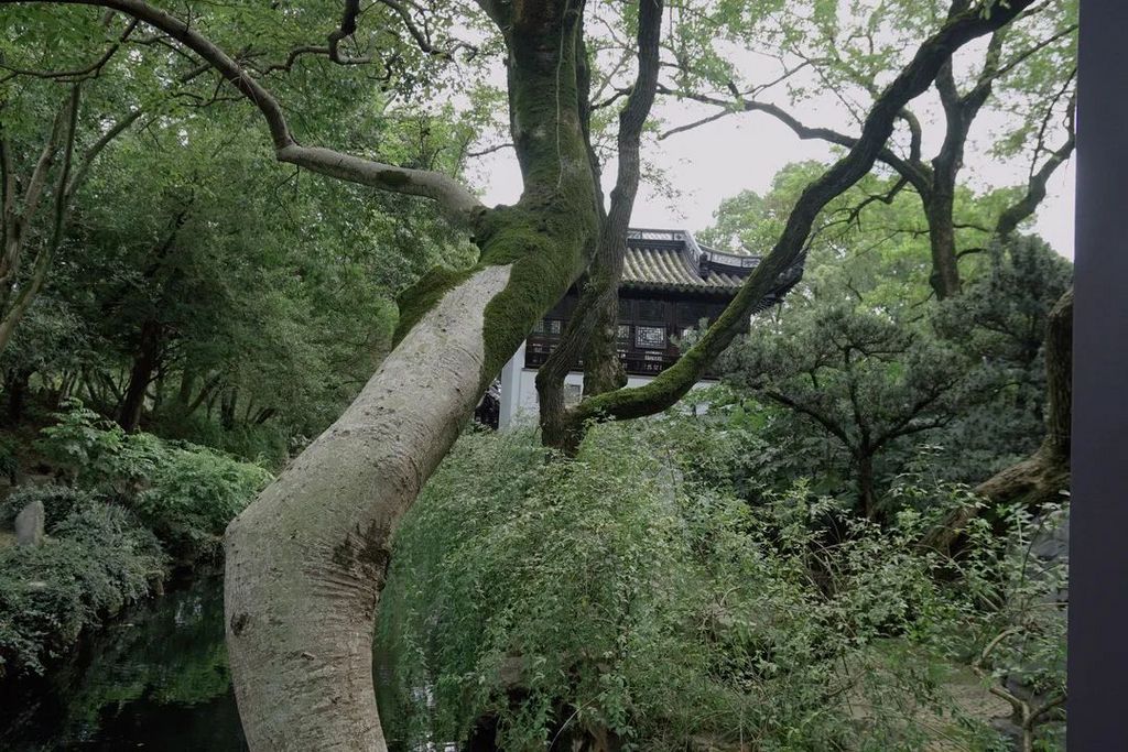潜派旅行