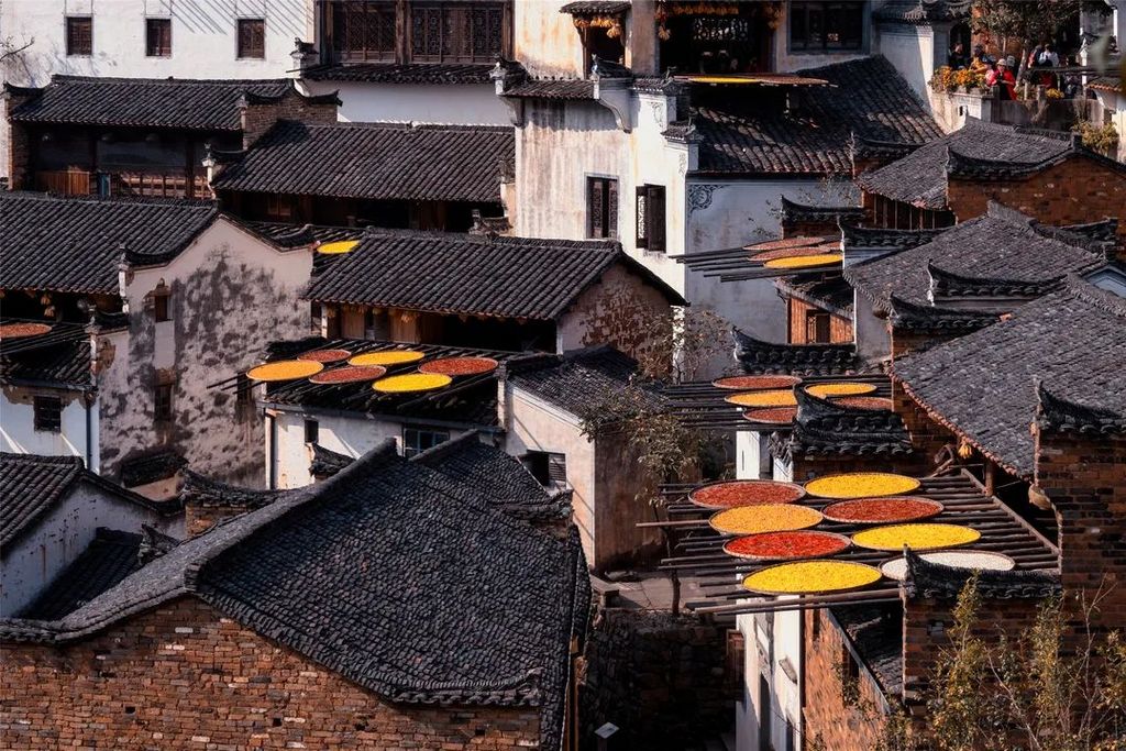 潜派旅行
