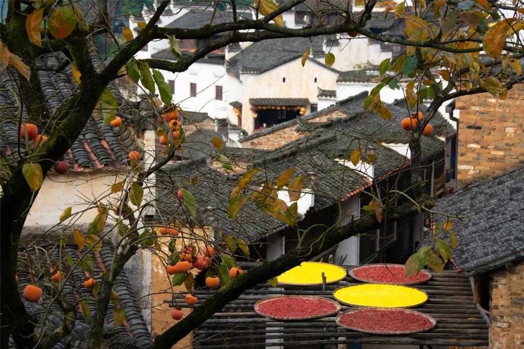 潜派旅行