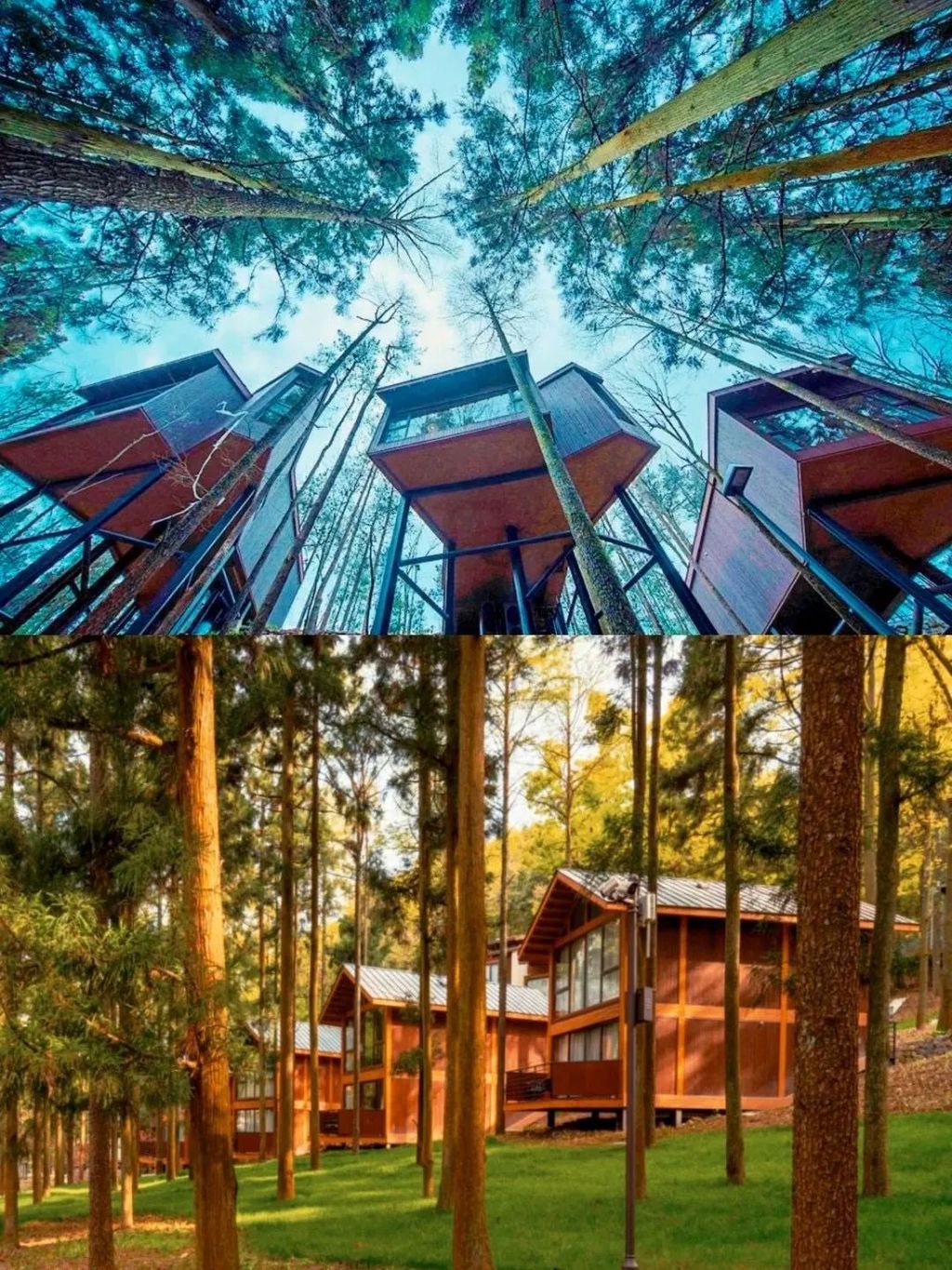潜派旅行