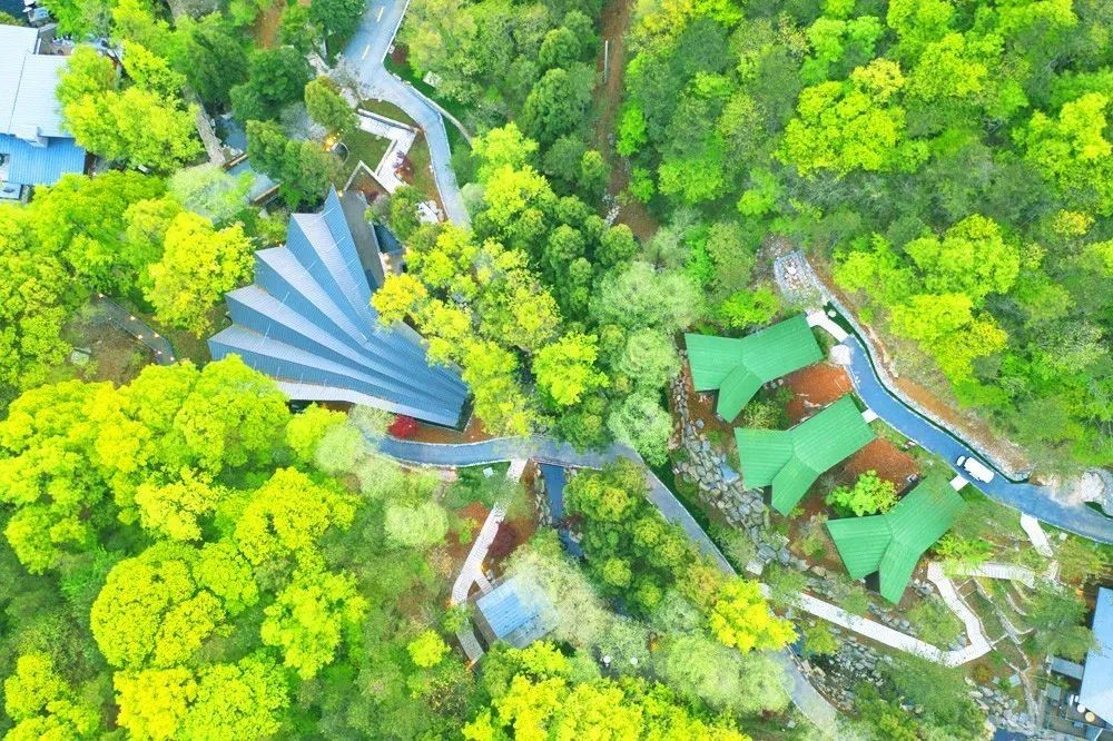 潜派旅行