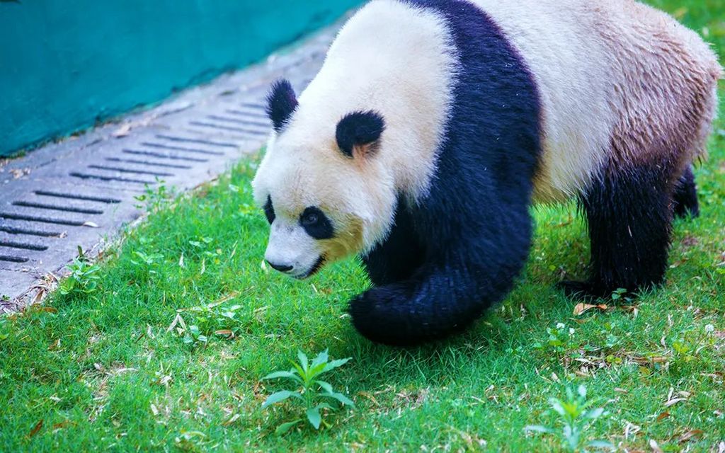 潜派旅行