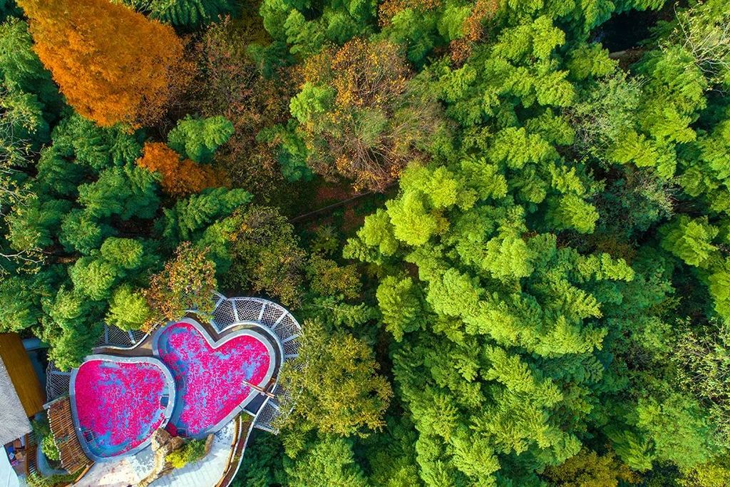 潜派旅行