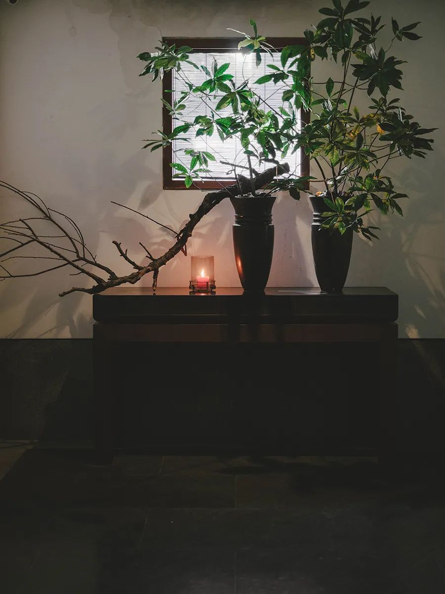 潜派旅行