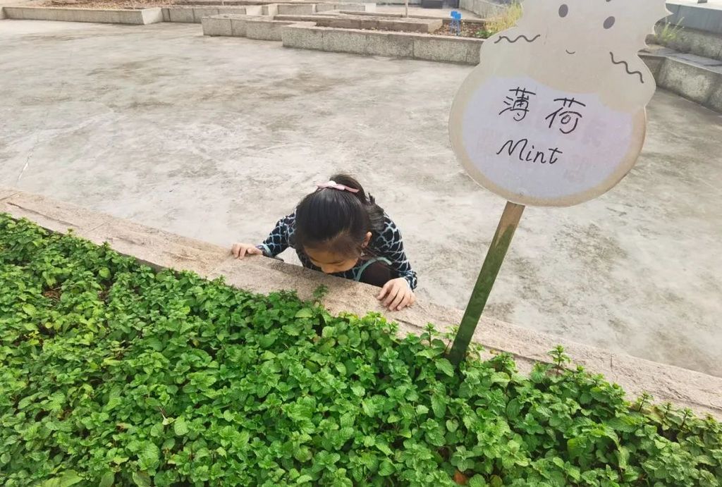 潜派旅行