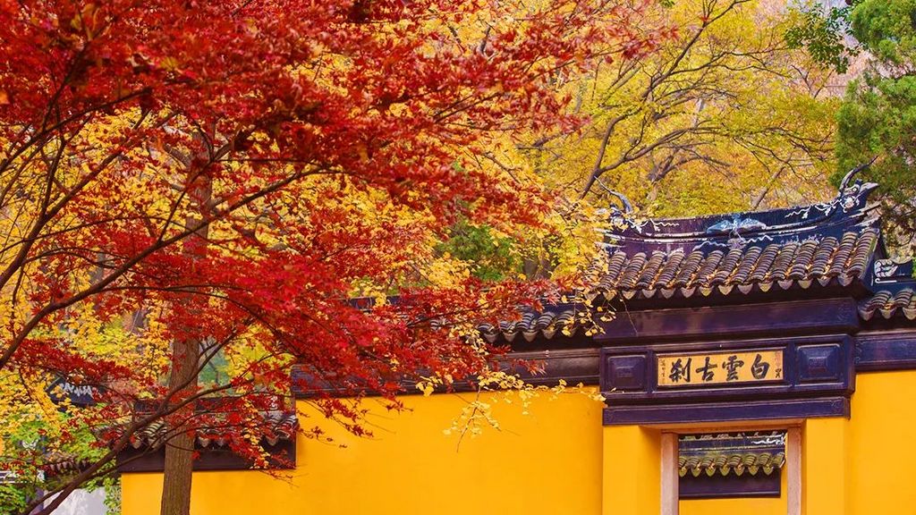 潜派旅行