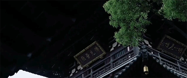 潜派旅行