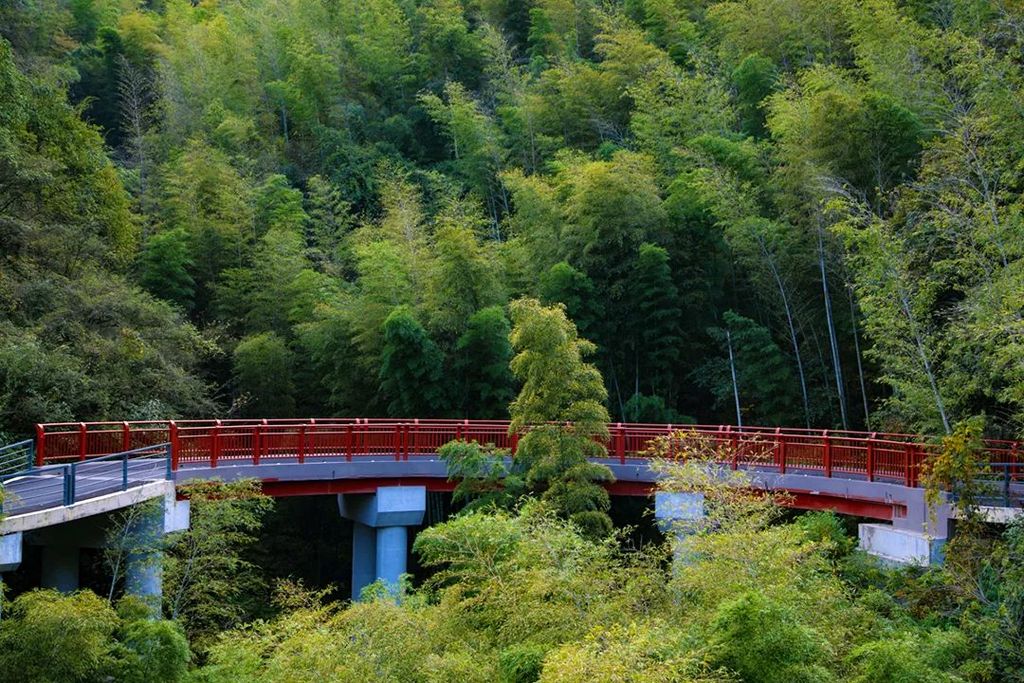 潜派旅行