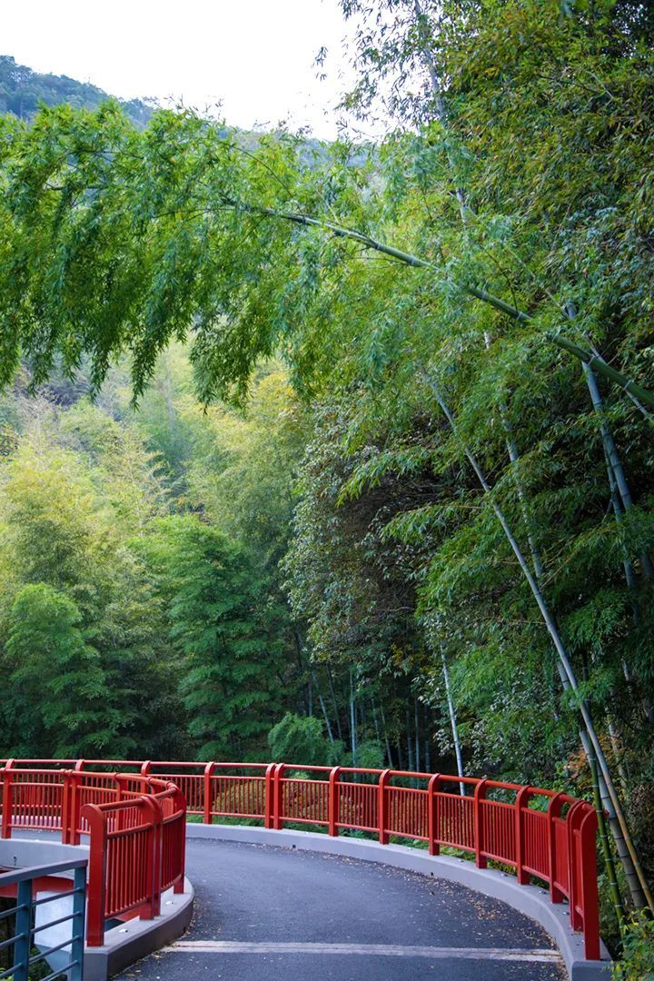 潜派旅行