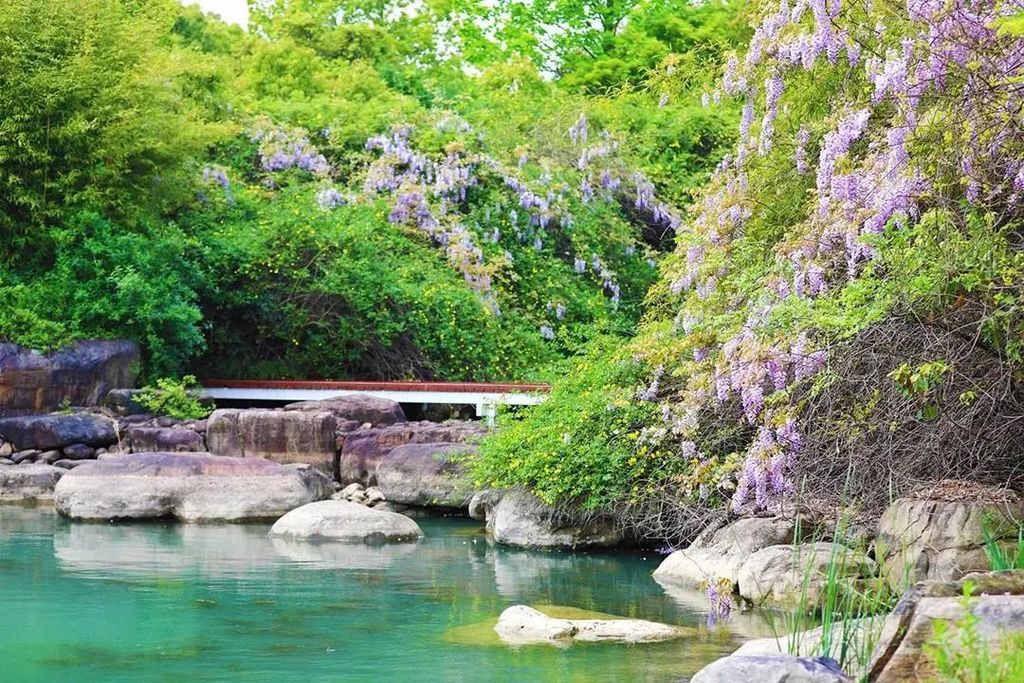 潜派旅行