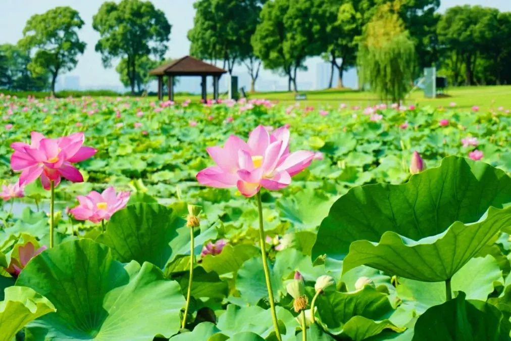 潜派旅行
