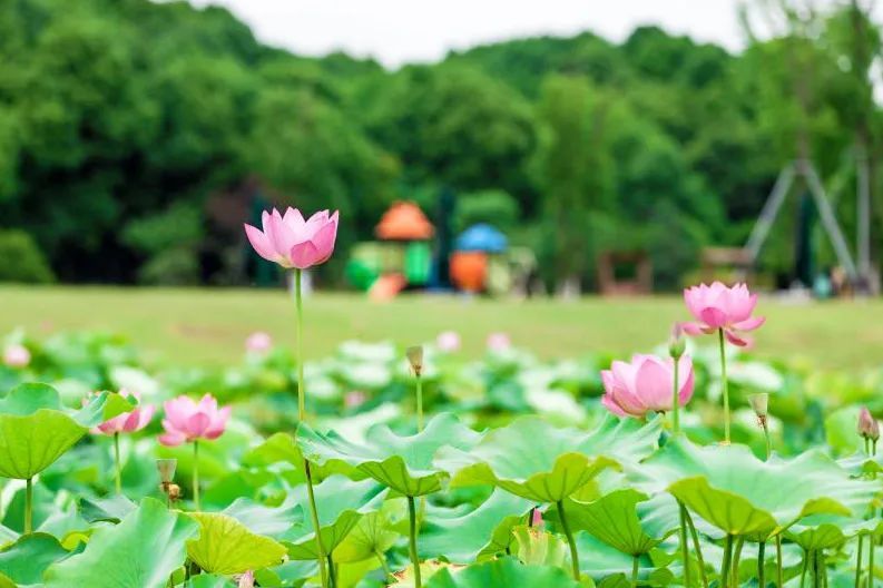 潜派旅行