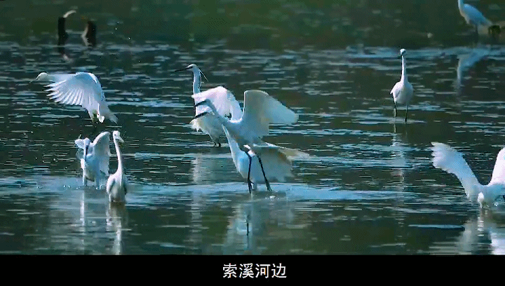 潜派旅行