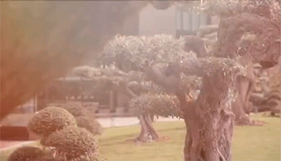 潜派旅行