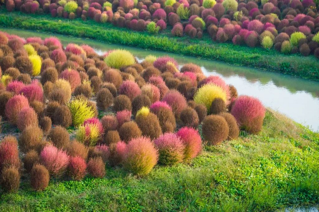 潜派旅行