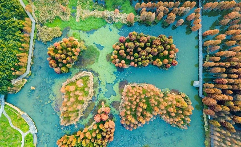 潜派旅行