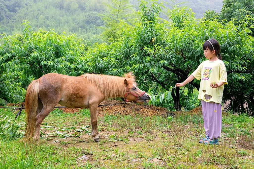 潜派旅行