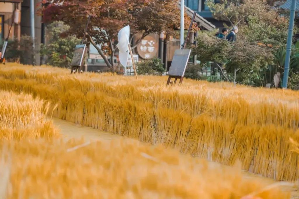 潜派旅行