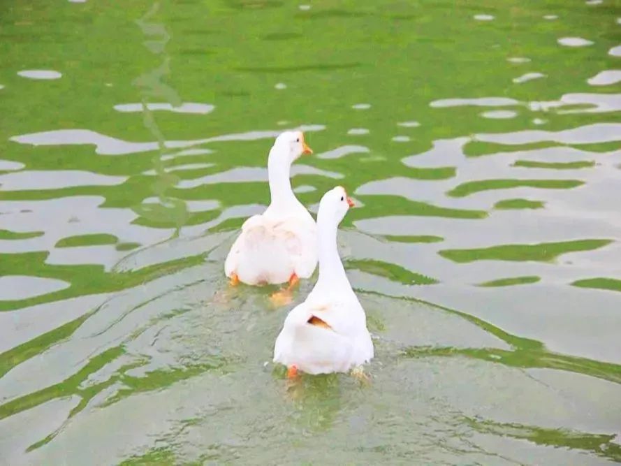 潜派旅行