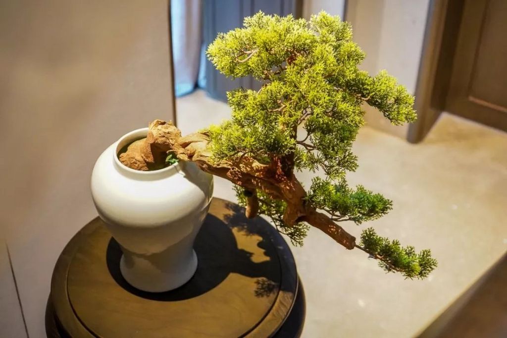 潜派旅行