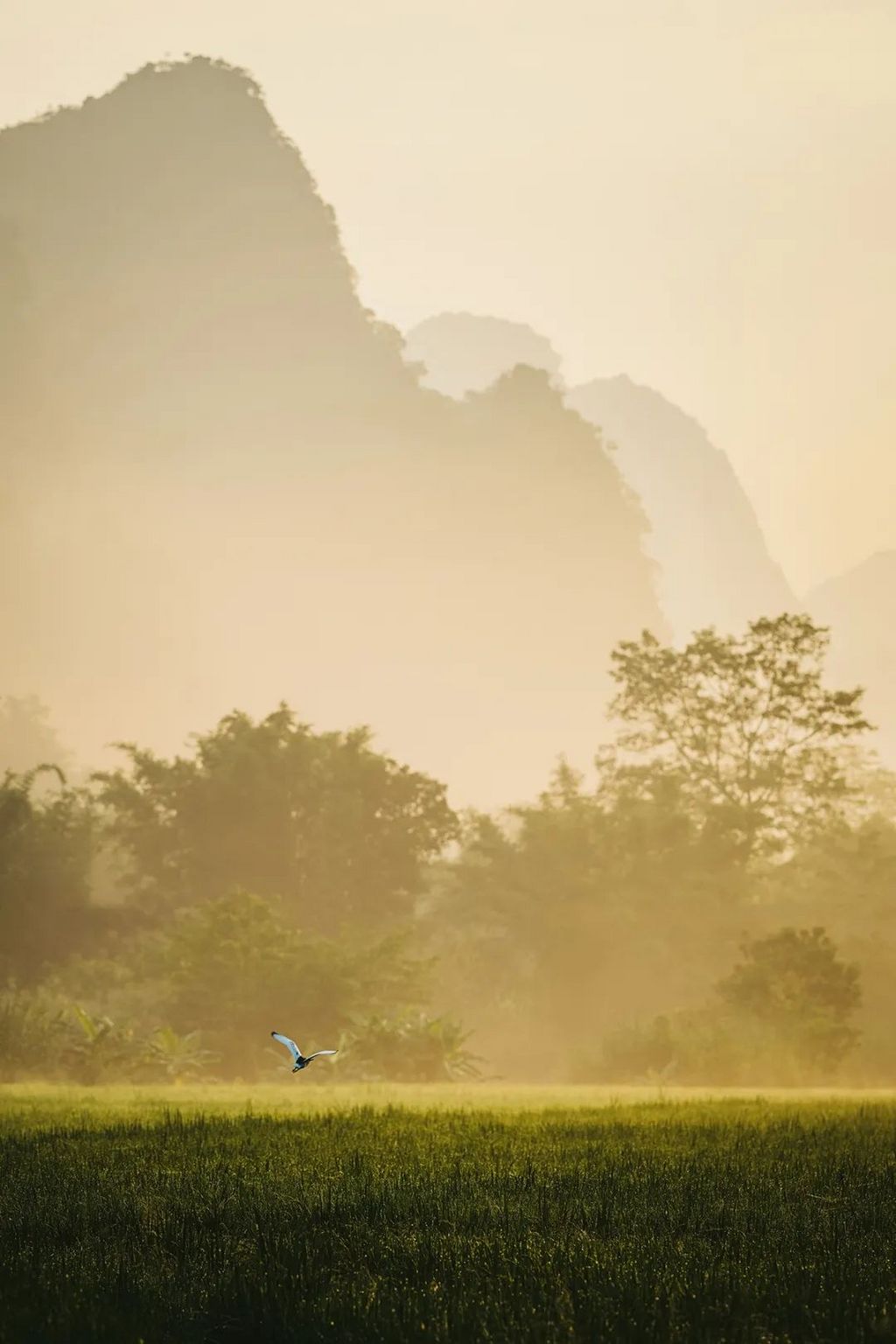 潜派旅行