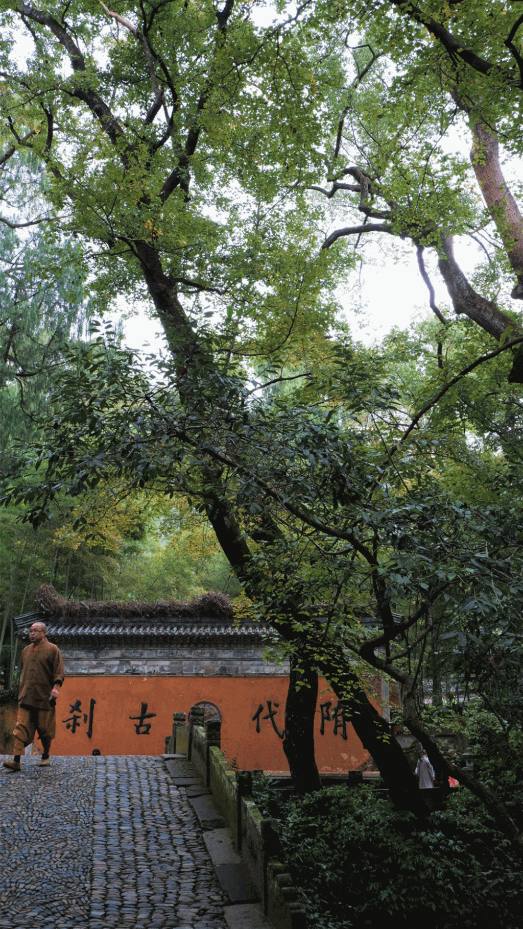 潜派旅行