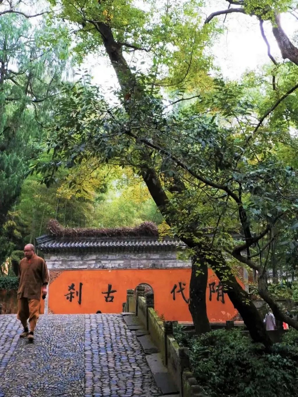 潜派旅行
