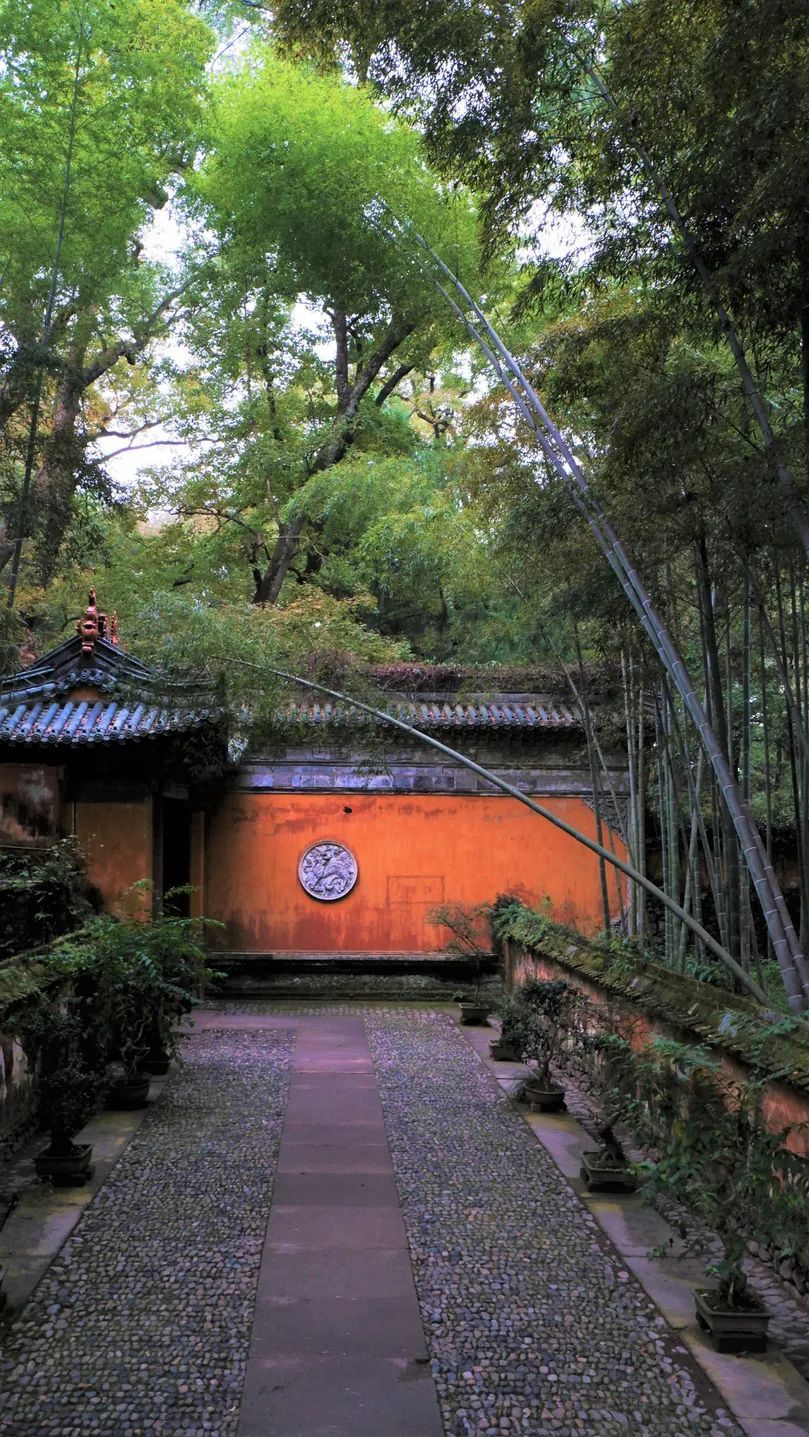 潜派旅行