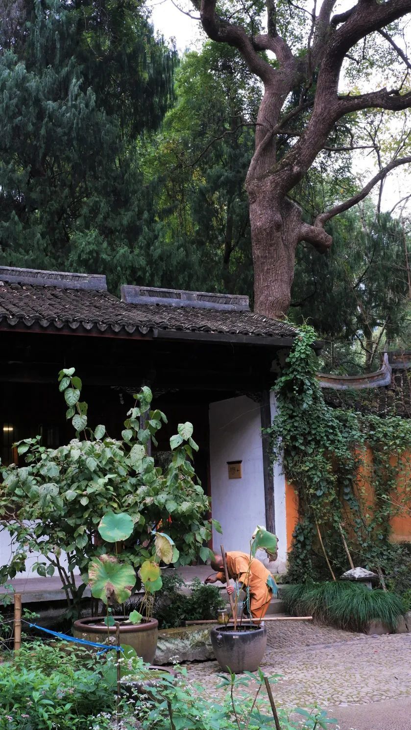 潜派旅行