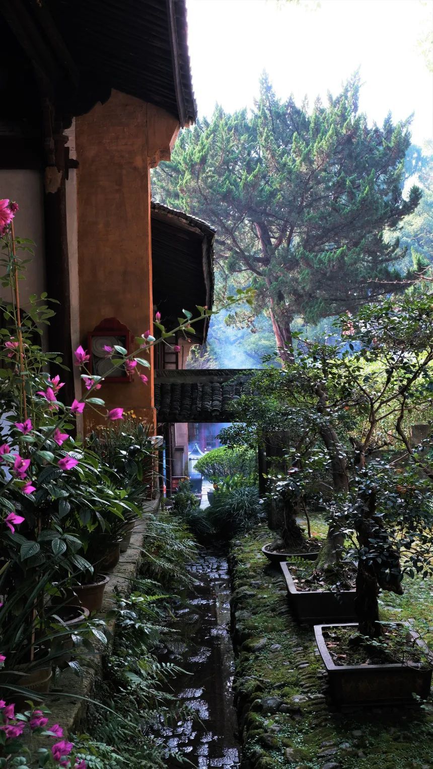 潜派旅行