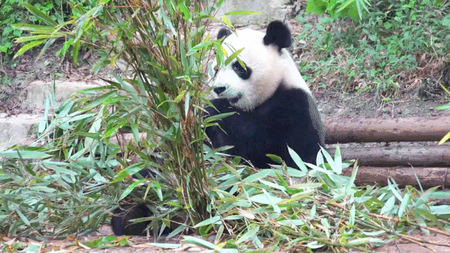 潜派旅行