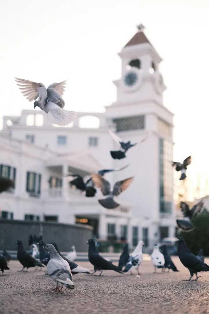 潜派旅行
