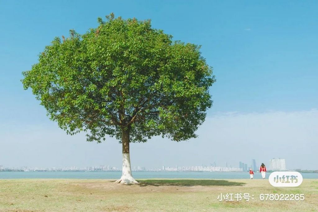 潜派旅行