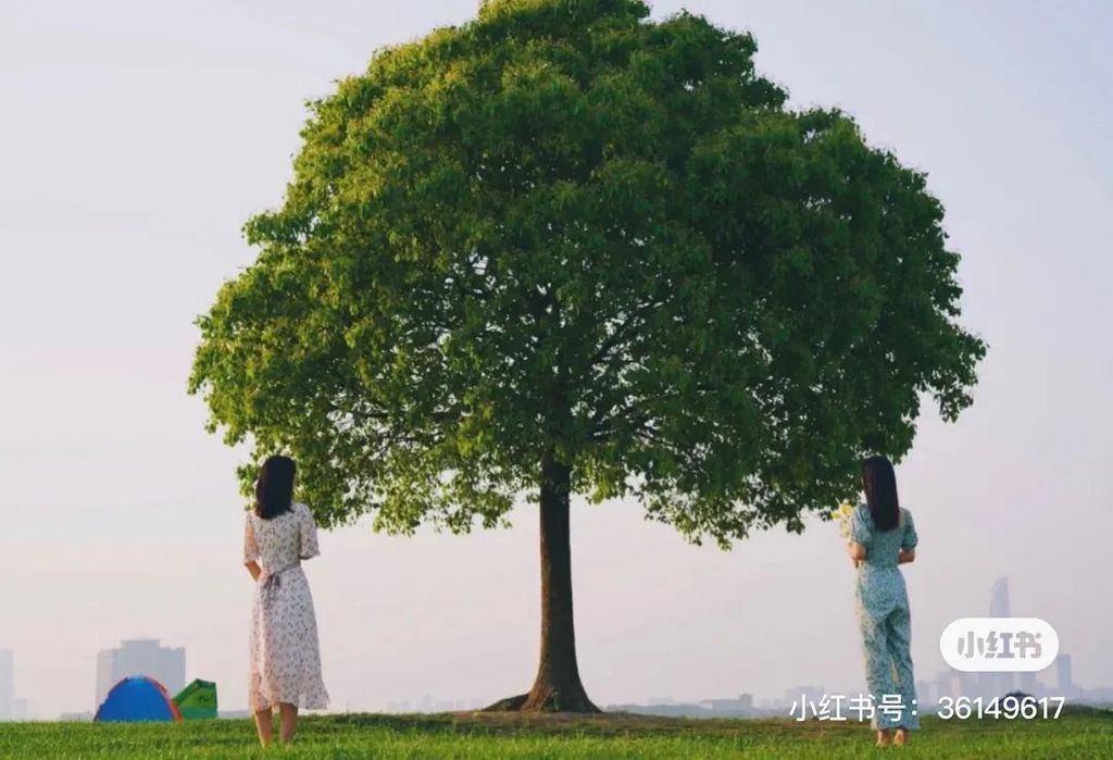 潜派旅行