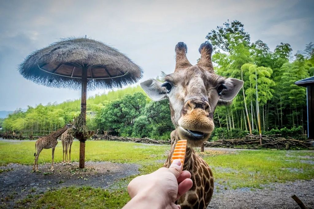 潜派旅行