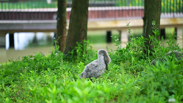 潜派旅行