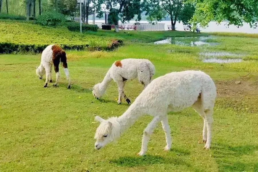 潜派旅行