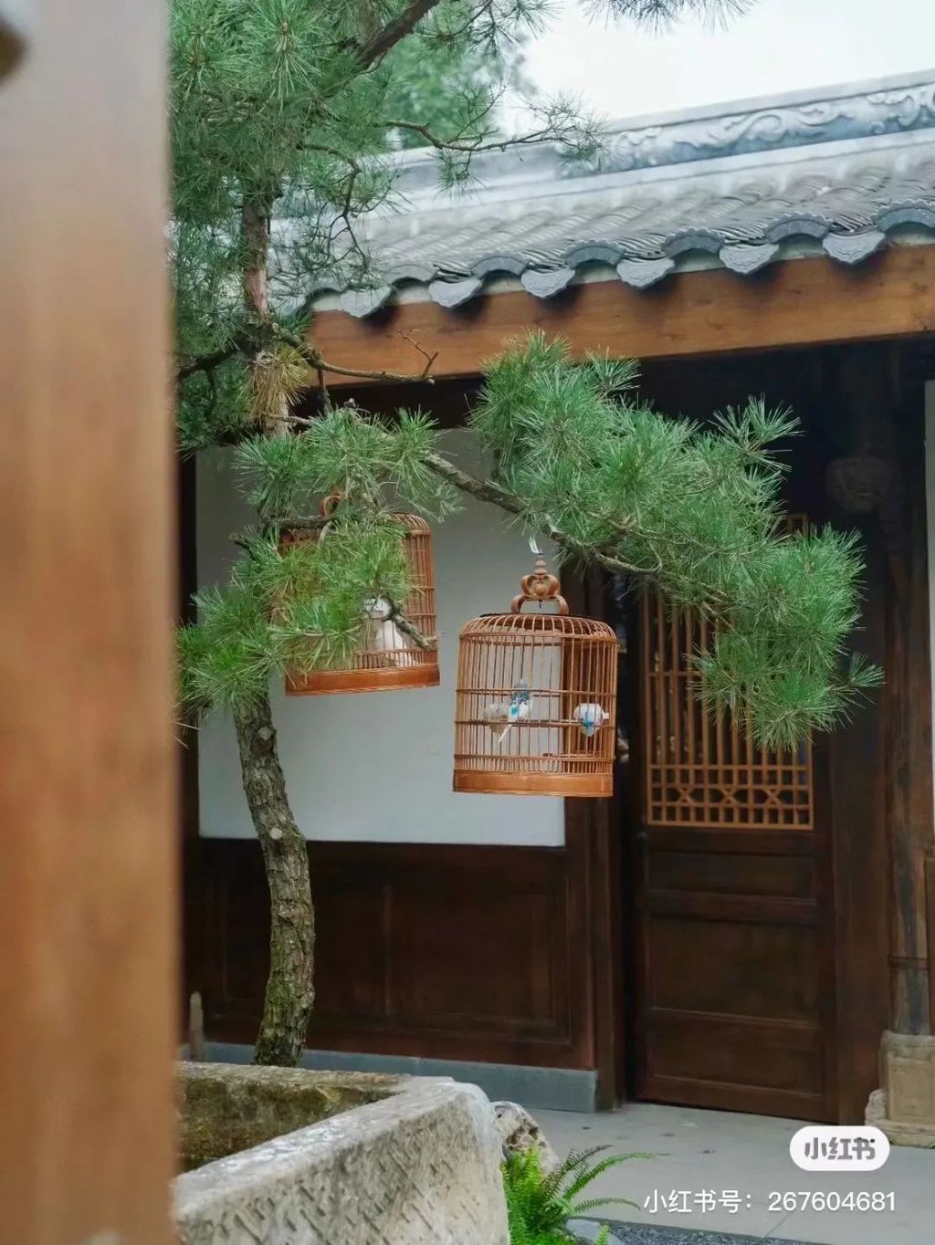 潜派旅行