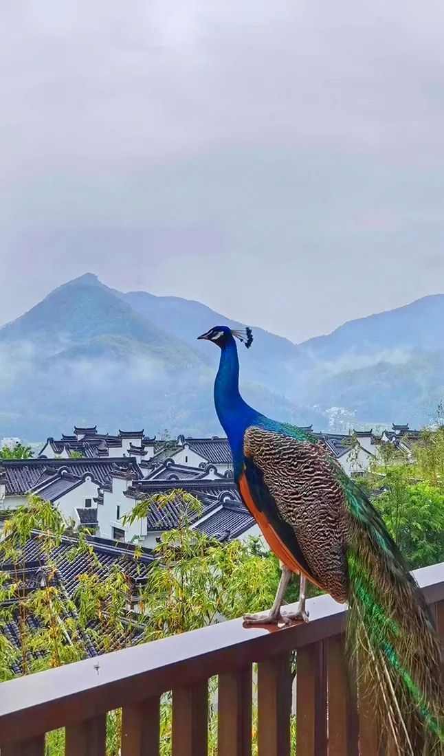 潜派旅行