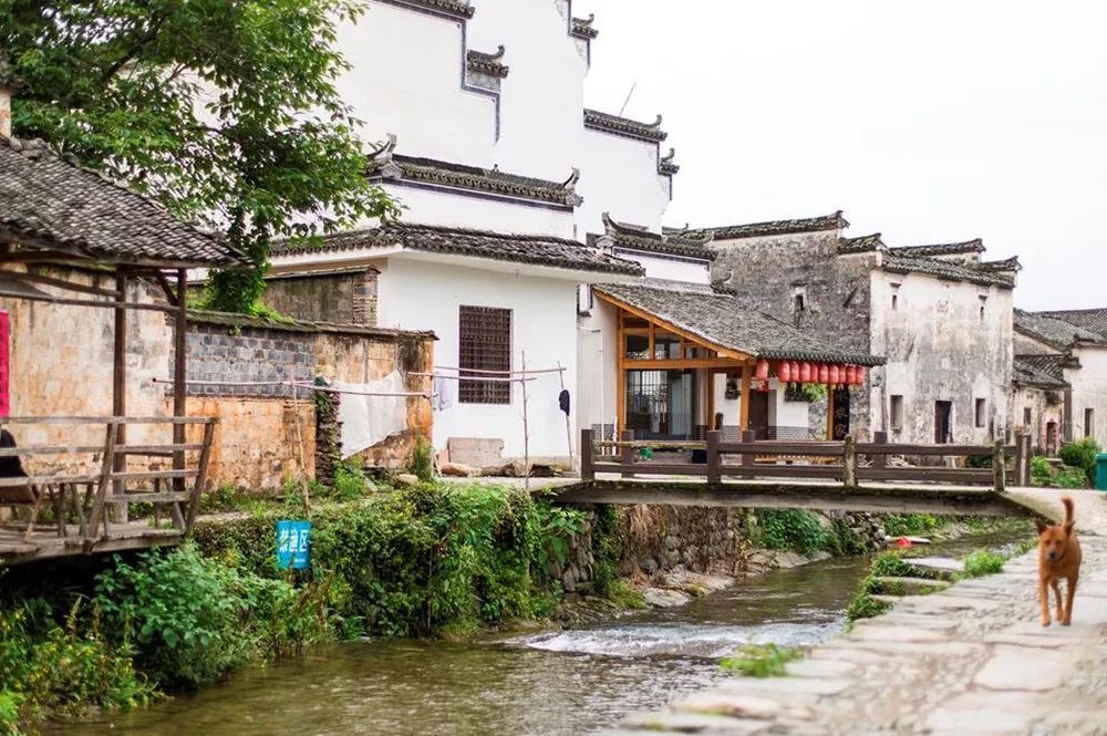 潜派旅行