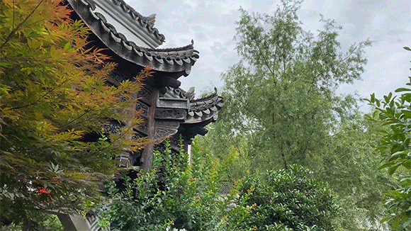 潜派旅行