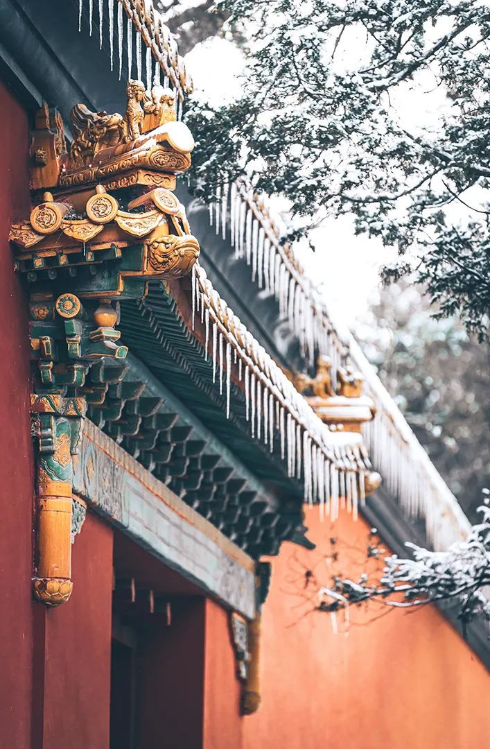 潜派旅行