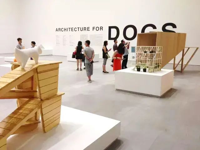 潜派旅行